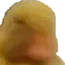 Smh emoji