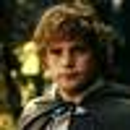 Samwise Gamgee emoji