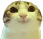 Hihi emoji
