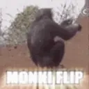 Monkiflip emoji