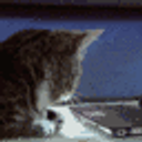 Catofshock emoji