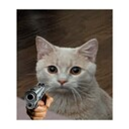 Pancakewithgun emoji