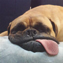 Sleepy Pupperino emoji