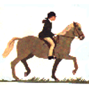 Horse Riding emoji