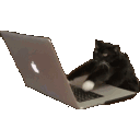 Typekat emoji