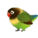 Roll Birb emoji