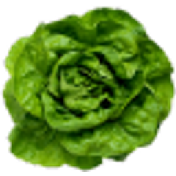 Lettuce emoji
