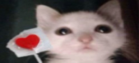 Dankiheart emoji