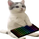 Catsittingverycomfortabletyping emoji