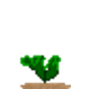 Beet emoji
