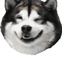 Husky Jam emoji