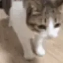 Ohnyocatjustdiedpeeposad emoji