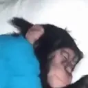 Sleepymonkey emoji