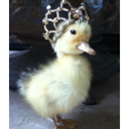 Duck Queen emoji