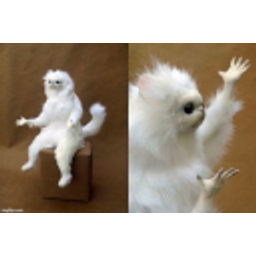 Taxidermycat emoji