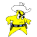 Star Cowboy emoji