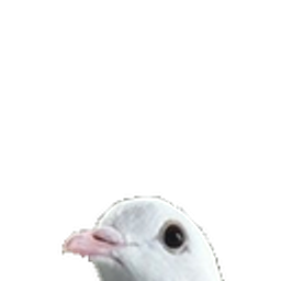 Birbhead emoji