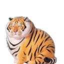 Fat Tiger emoji