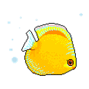 Tropical Fish emoji