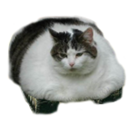 Cat Tank emoji