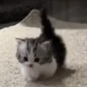 Walk emoji