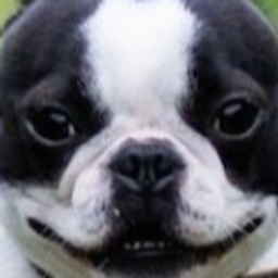Bostonbby emoji