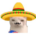 Muchogato emoji
