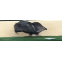 Kabanrun emoji