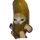 Picklecatrun emoji