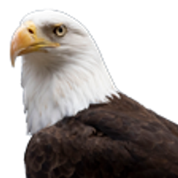 Eagle emoji