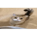 Hiiiiiiii emoji