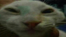 Unxdd emoji