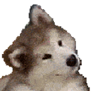 Huh What Husky emoji
