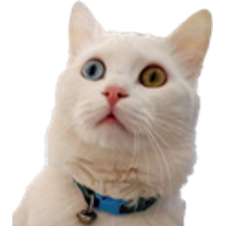 Coco emoji