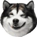 Husky Forever emoji