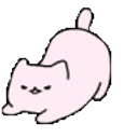 Cat Wiggle2q emoji
