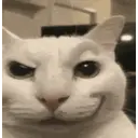 Cannysilly emoji