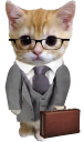 Catbusiness emoji