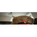 Buhovershakeyflipexplode emoji