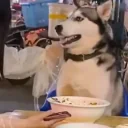 Getthisshitouttahere emoji