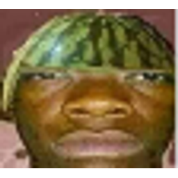 Watermelon Head Shrug emoji