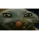 Xdxdxd emoji
