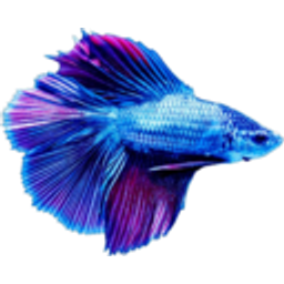 Beta Fish emoji
