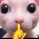 Bingusshh emoji