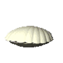 Clam Pearl emoji