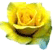 Yellow Rose emoji