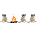 Catsittingverycomfortablearoundacampfirewithitsfriends emoji