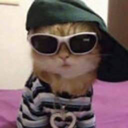 Y2k Cool Cat emoji