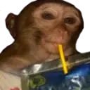 Monkeysip emoji
