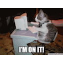 Im On It Cat emoji